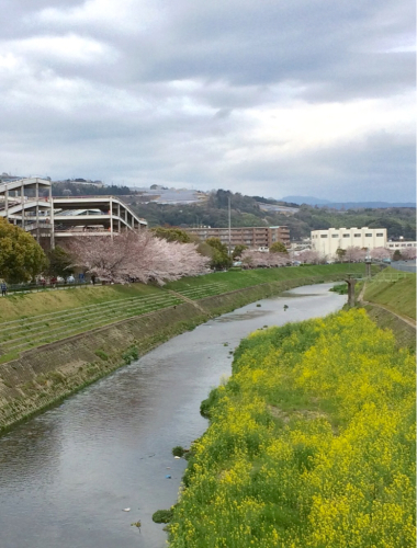 桜の季節_e0111793_01130027.jpg