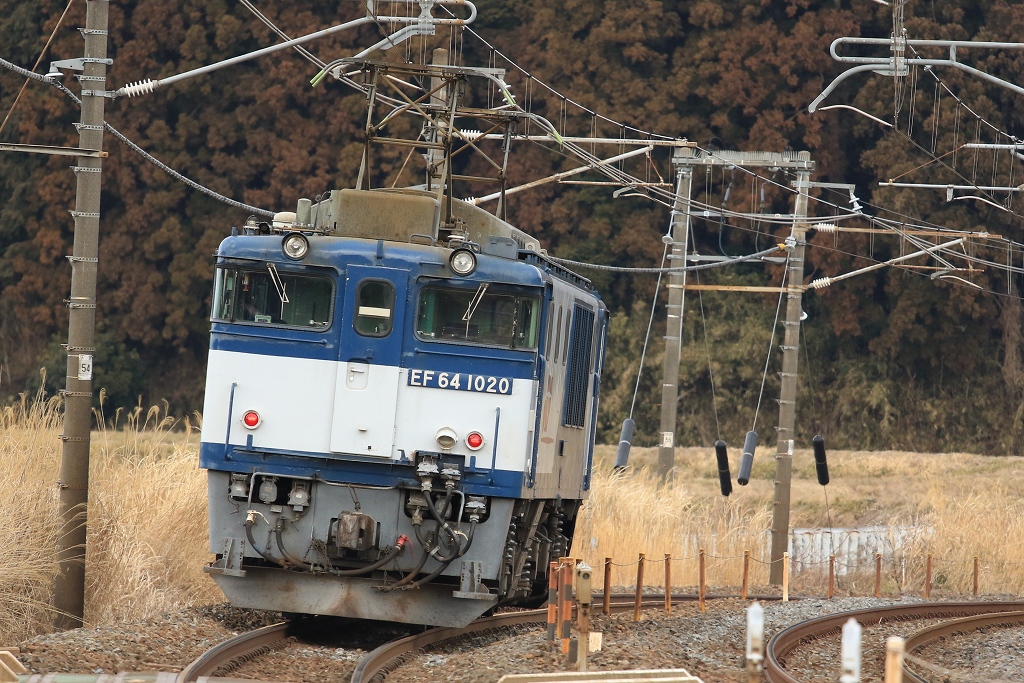 臨単9175列車 EF64 1020がキター！！_c0035094_22285631.jpg