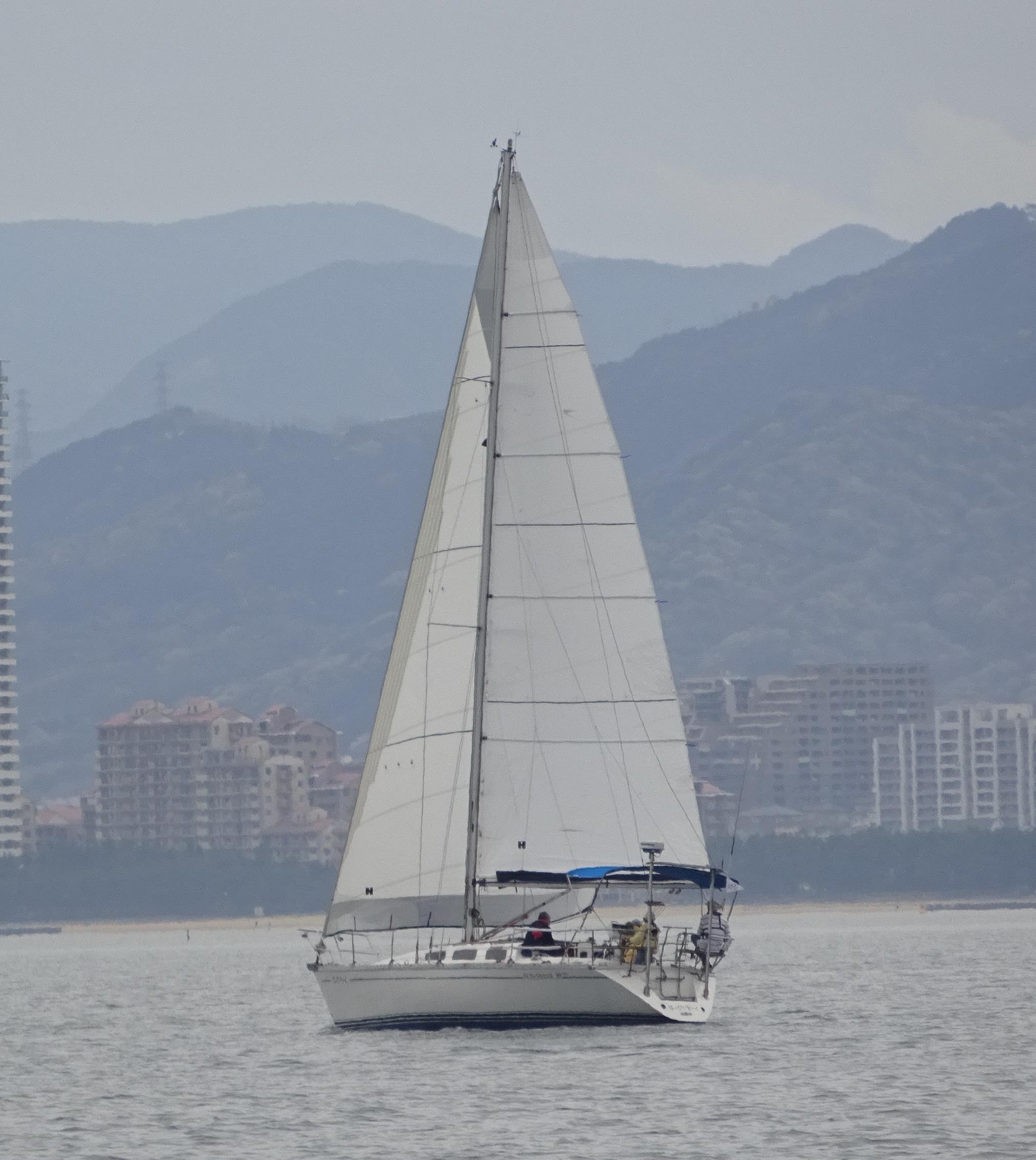 f0166694_17543383.jpg