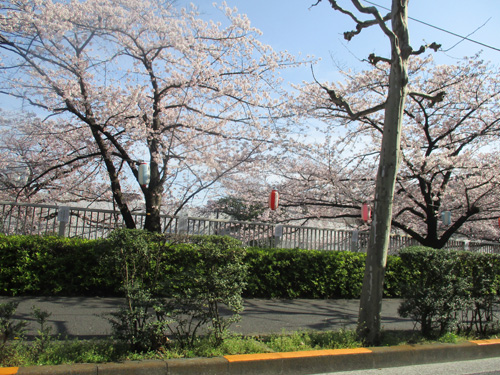 a0091796_0111968.jpg