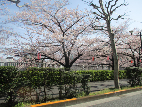 a0091796_012311.jpg