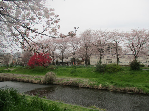 a0091796_0125980.jpg
