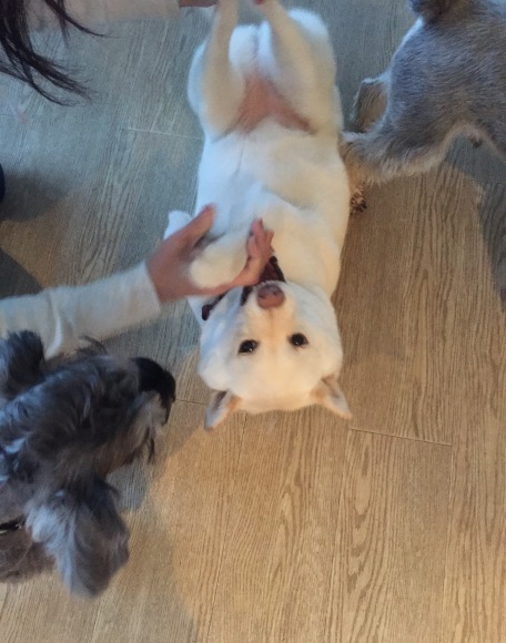 b0188998_22511044.jpeg