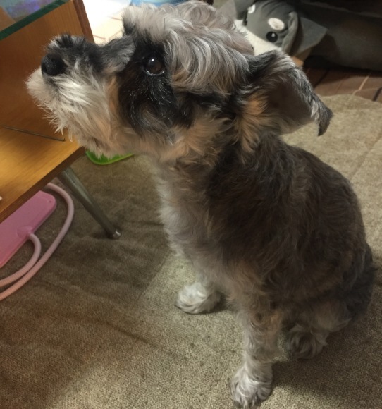 b0188998_22513526.jpeg