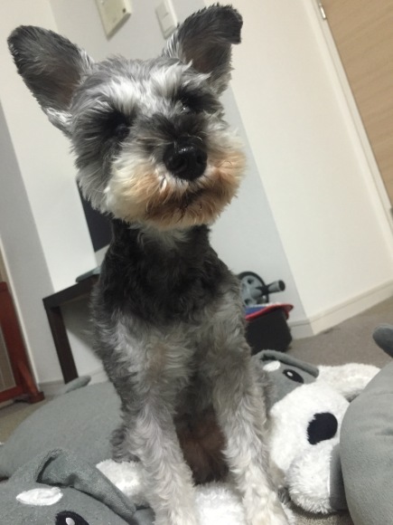 b0188998_22515736.jpeg