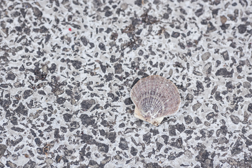 f0003598_1914258.jpg
