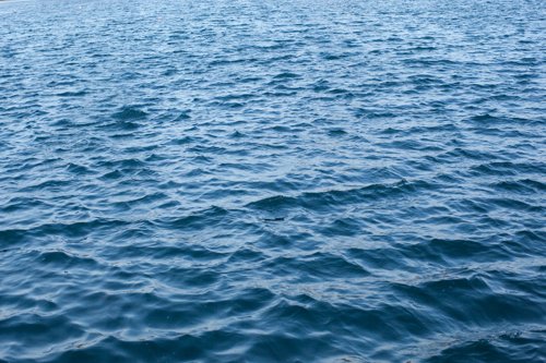 f0003598_19153594.jpg