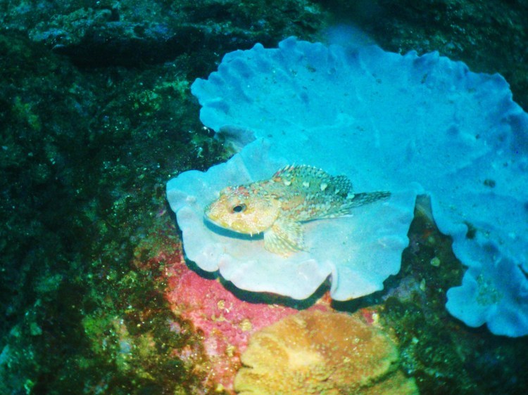 f0154300_18005040.jpg