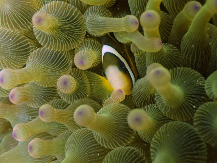 f0154300_18005498.jpg