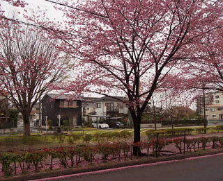 c0039501_16560226.jpg