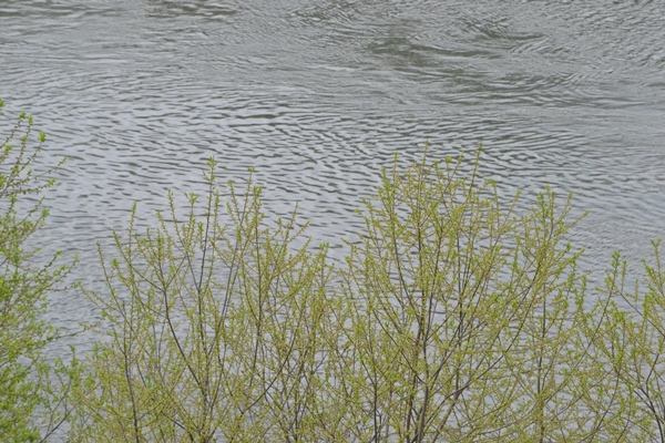 a0240403_1017881.jpg