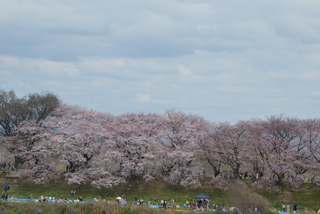 a0240403_933991.jpg