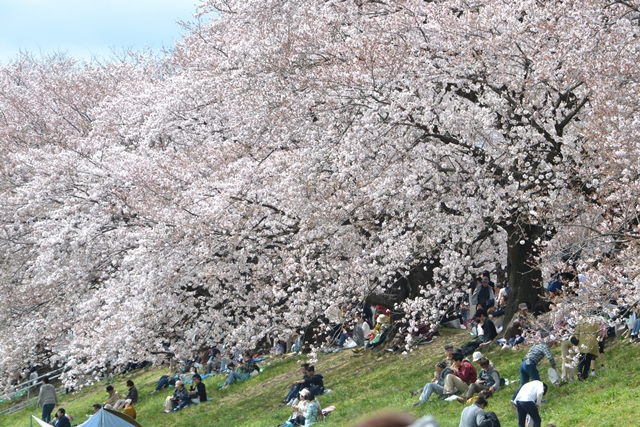 a0240403_9591172.jpg