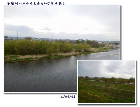 c0051105_1134016.jpg