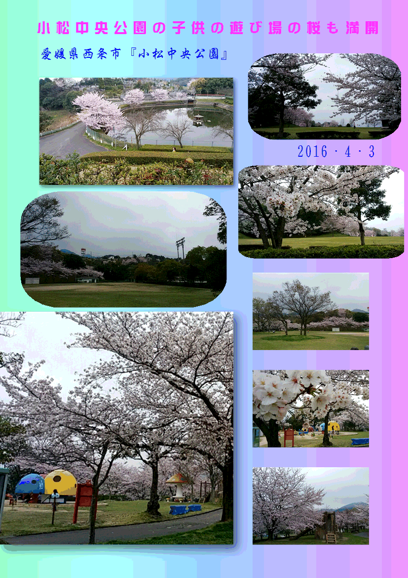 小松中央公園 の桜も満開 16 4 3 徳ちゃん便り 小松中央公園 の桜も満開 16 4 3 徳ちゃん便り