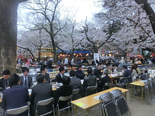 上野公園、北の丸公園、靖国神社 東京はどこも桜が満開なのに_f0141310_822241.jpg