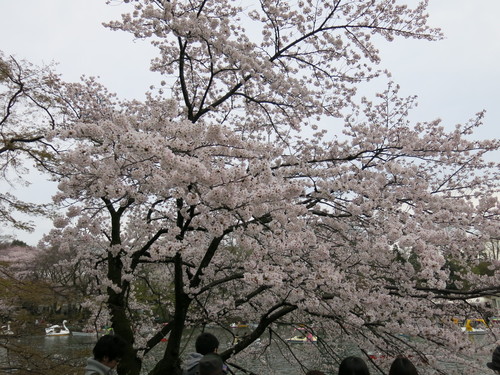 c0203111_1644389.jpg