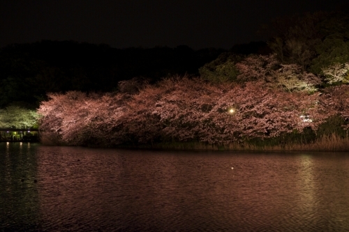 e0340011_21040159.jpg