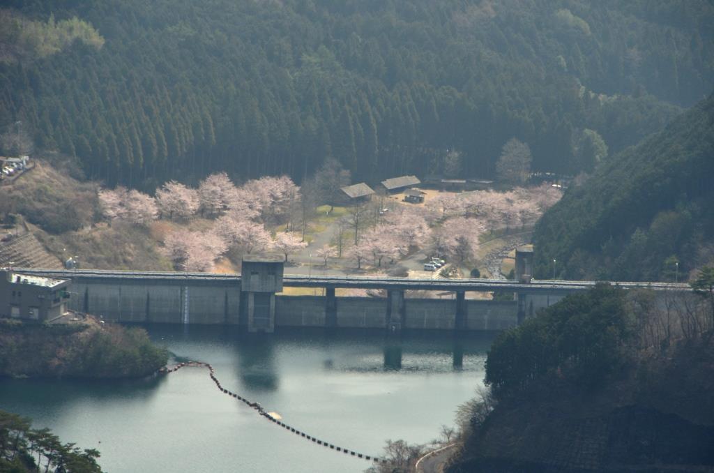 2016/4/1 仙人ヶ岳（足利市）_a0340812_92984.jpg