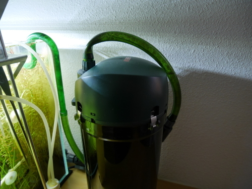c0337613_22501965.jpg