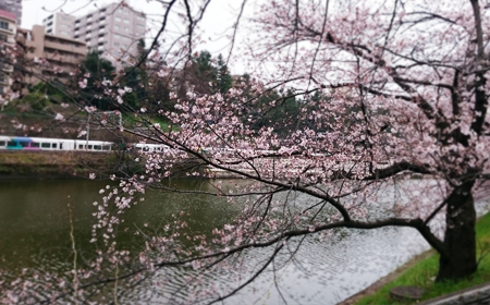 d0113613_1120308.jpg