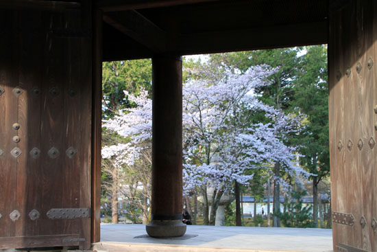 16桜だより30 南禅寺の朝_e0048413_21282265.jpg