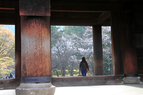 16桜だより30 南禅寺の朝_e0048413_21283557.jpg