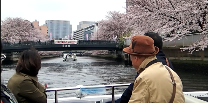 大横川の桜_e0260013_2395964.png