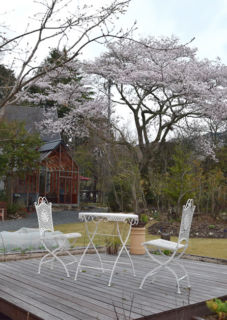 野間の森MIGIWA 桜のサンルーム_d0207515_20501418.jpg