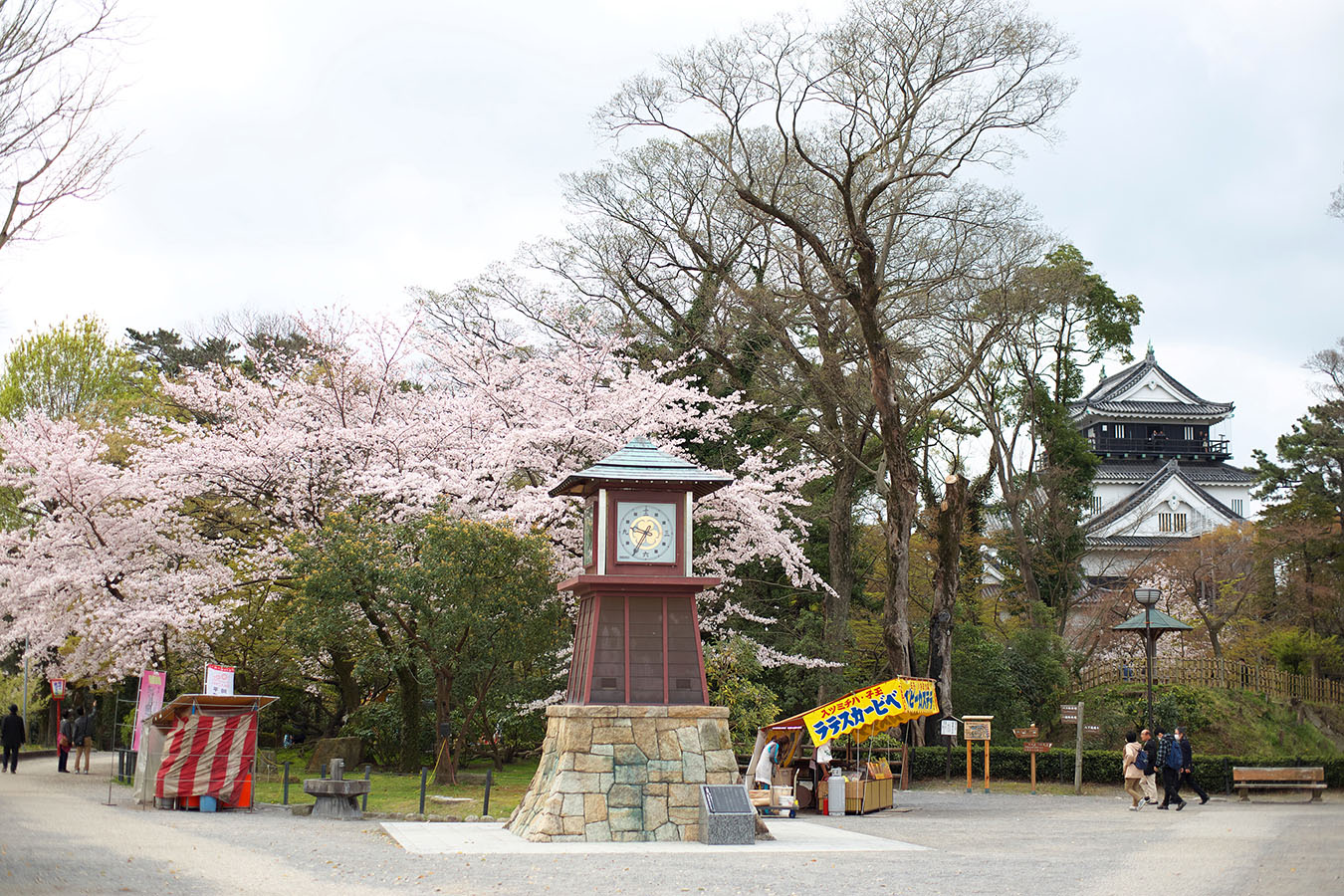 岡崎公園の桜_c0115616_20332126.jpg