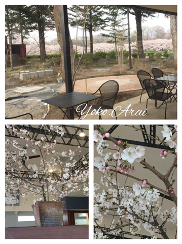 花のモチーフ制作_d0049817_09004846.jpg