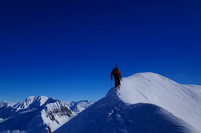 アラスカ遠征BCスキーツアー!!(スキー滑走編⑤)_a0353718_13231811.jpg