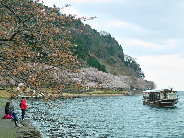 雨模様の朝・・・・・朽木小川・気象台より_c0044819_9134556.jpg