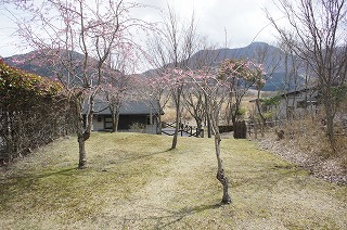 f0190020_8561639.jpg