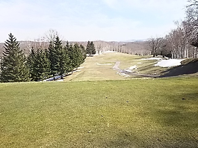 f0227321_20365688.jpg