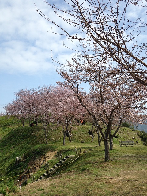 e0303726_20132976.jpg
