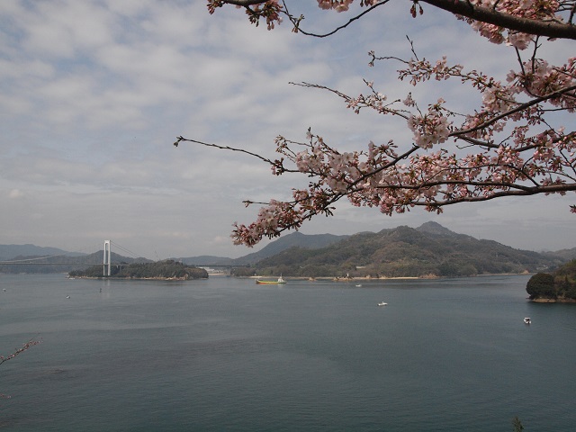 e0303726_2026133.jpg