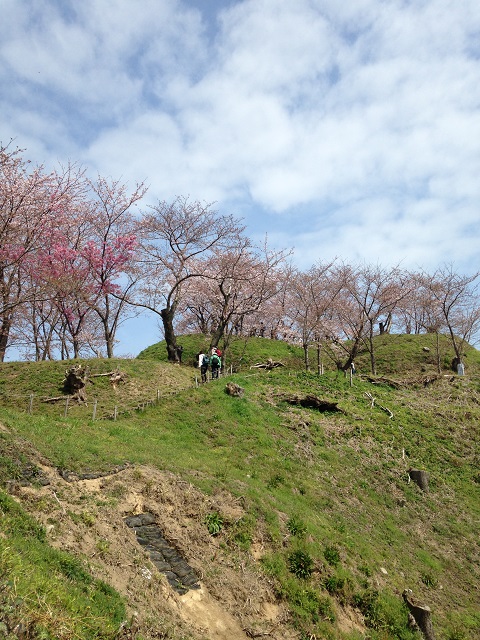 e0303726_2082215.jpg