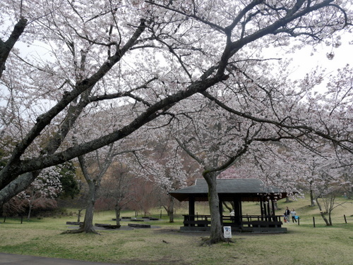 c0039428_23362922.jpg