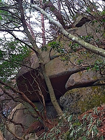 六甲山と瀬織津姫 ② やっばり天穂日命と沖縄は_a0300530_17011139.jpg