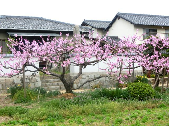 b0297741_12301305.jpg