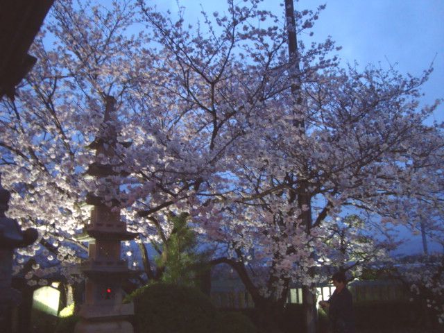e0060041_2036538.jpg