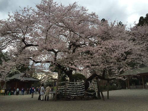 KOMAROBO 2_c0331145_20142322.jpg