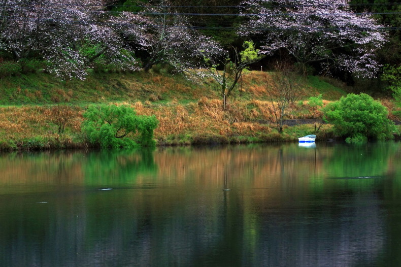 　山路では・・・_c0347546_20473281.jpg