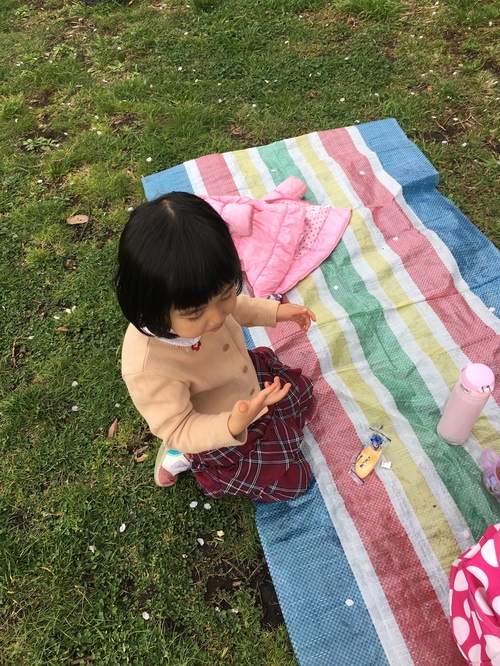 桜の季節_c0201749_15532067.jpg
