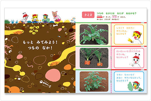 11月からは寒い、育ちが悪い、どうしても肥料をやりすぎてしまうことの問題点！を学んじゃえ！_c0354549_08004435.jpg