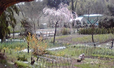 f0329849_12154138.jpg