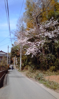 f0329849_12214724.jpg