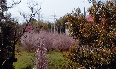 f0329849_12221716.jpg