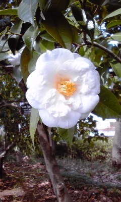 f0329849_12540140.jpg